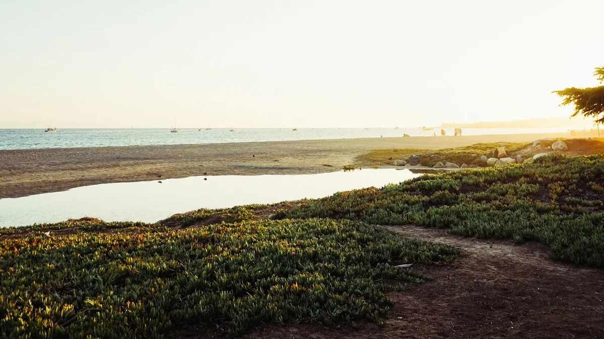 Serene beach landscape with calm waters and vibrant greenery during a beautiful sunrise.
