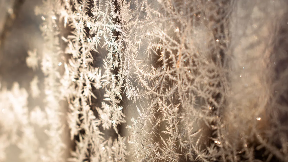Detailed close-up of intricate frost patterns on a window with delicate crystal formations.